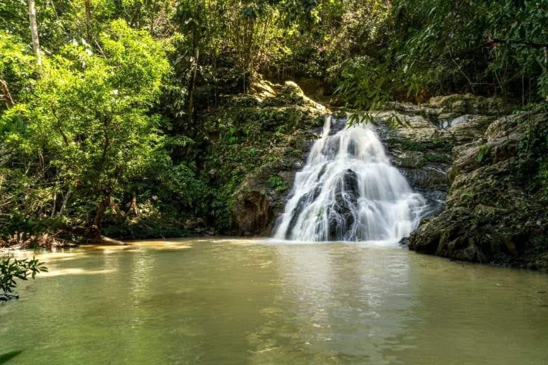Recorrido natural junto al río